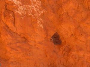 خرید سنگ گرانیت پرتقالی نهبندان + بهترین قیمت